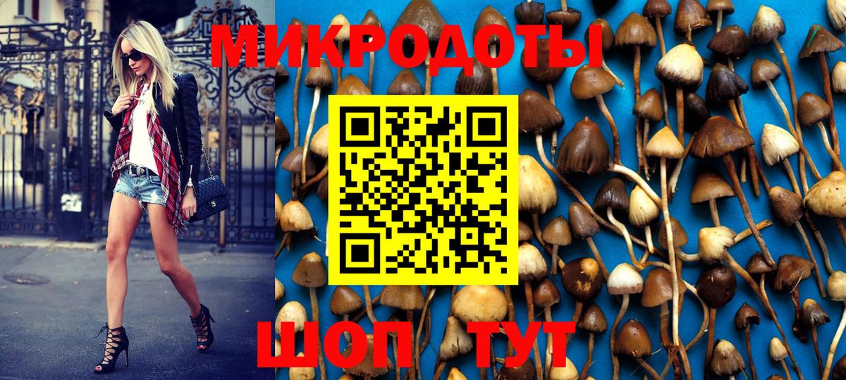 Псилоцибиновые грибы ЛСД Медногорск